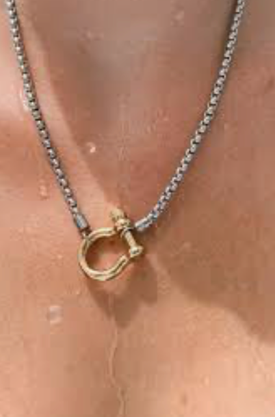 Carabiner horse Bit- Charm-Wheat Chain Stainless Necklace